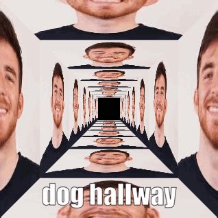 dougdoug Memes & GIFs .